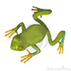 Meet your Posher, Penny l.